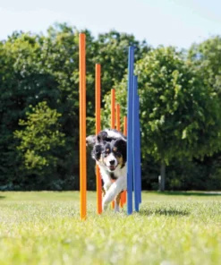 Trixie, Slalom d'agilité