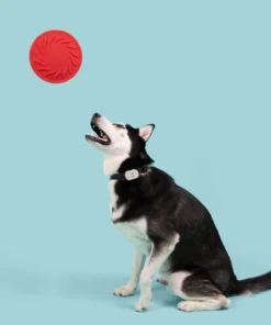 Alternative view of Jolly Pets, Le Frisbee Tuff de 8.5po