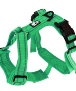 Alternative view of Le Chien Blanc, Harnais Charlie