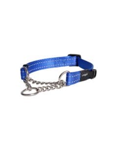 Alternative view of Rogz, Martingale pour chiens