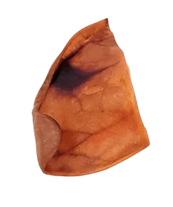 Kyon, Petite Oreille de Porc