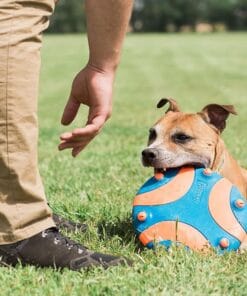Alternative view of Chuckit! Le Disque Volant Whistle Flight
