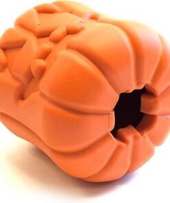 Alternative view of SodaPup, La Citrouille Lanterne Orange Jack O'