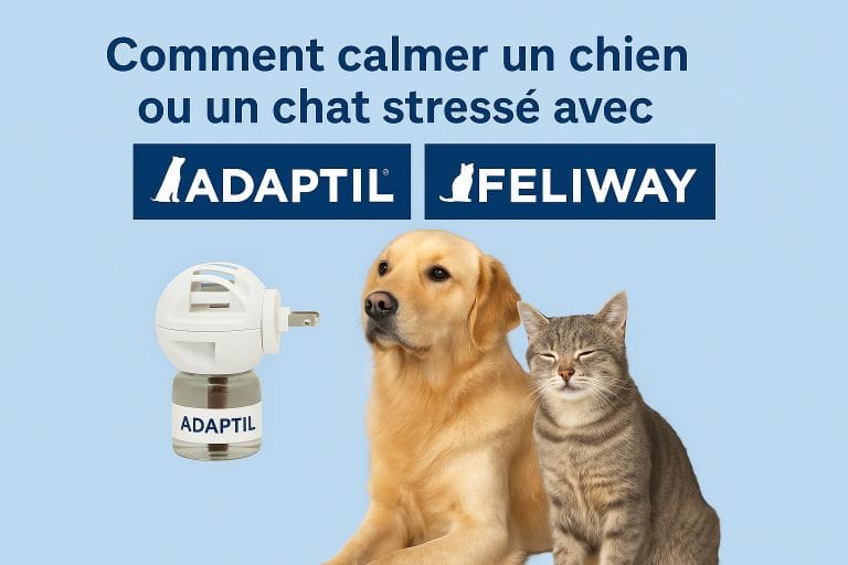 ADAPTIL et FELIWAY pour calmer les chiens et chats
