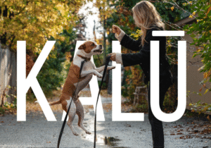 Kalu - nourriture pour chiens et chats