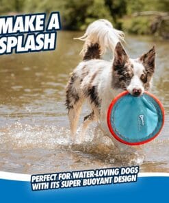 Alternative view of Chuckit!, Le Disque Volant Paraflight