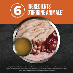 Alternative view of Orijen, Pâté Recette au Poulet, 363g