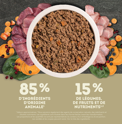 Alternative view of Acana, Conserve Recette au Canard, 363g