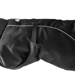 Alternative view of Le Chien Blanc, Manteau Orion Noir